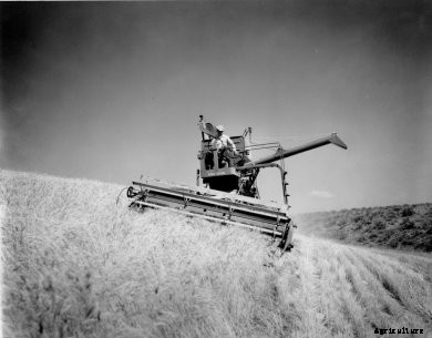 Great Green Harvester2